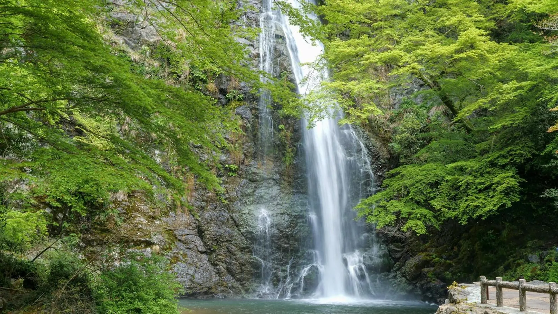 Szálloda Toyoko Inn Shin-Osaka Higashi-Mikuni Ekimae