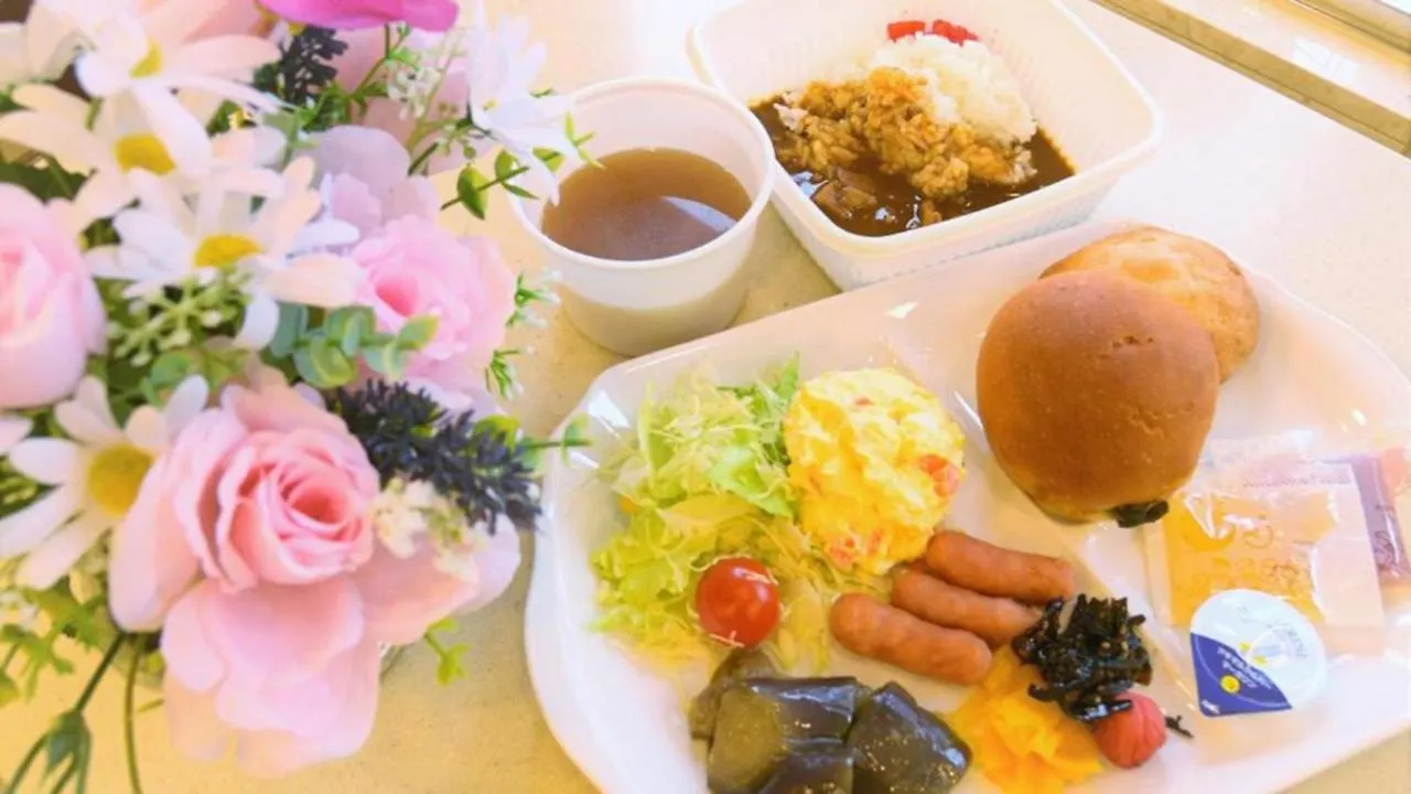 *** Hotel Toyoko Inn Shin-Osaka Higashi-Mikuni Ekimae Japan